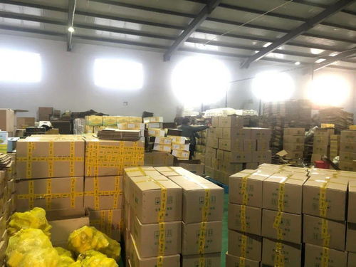 電商賦能，筑夢(mèng)五原——前11月交易額突破6億元，縣域經(jīng)濟(jì)借“網(wǎng)”騰飛